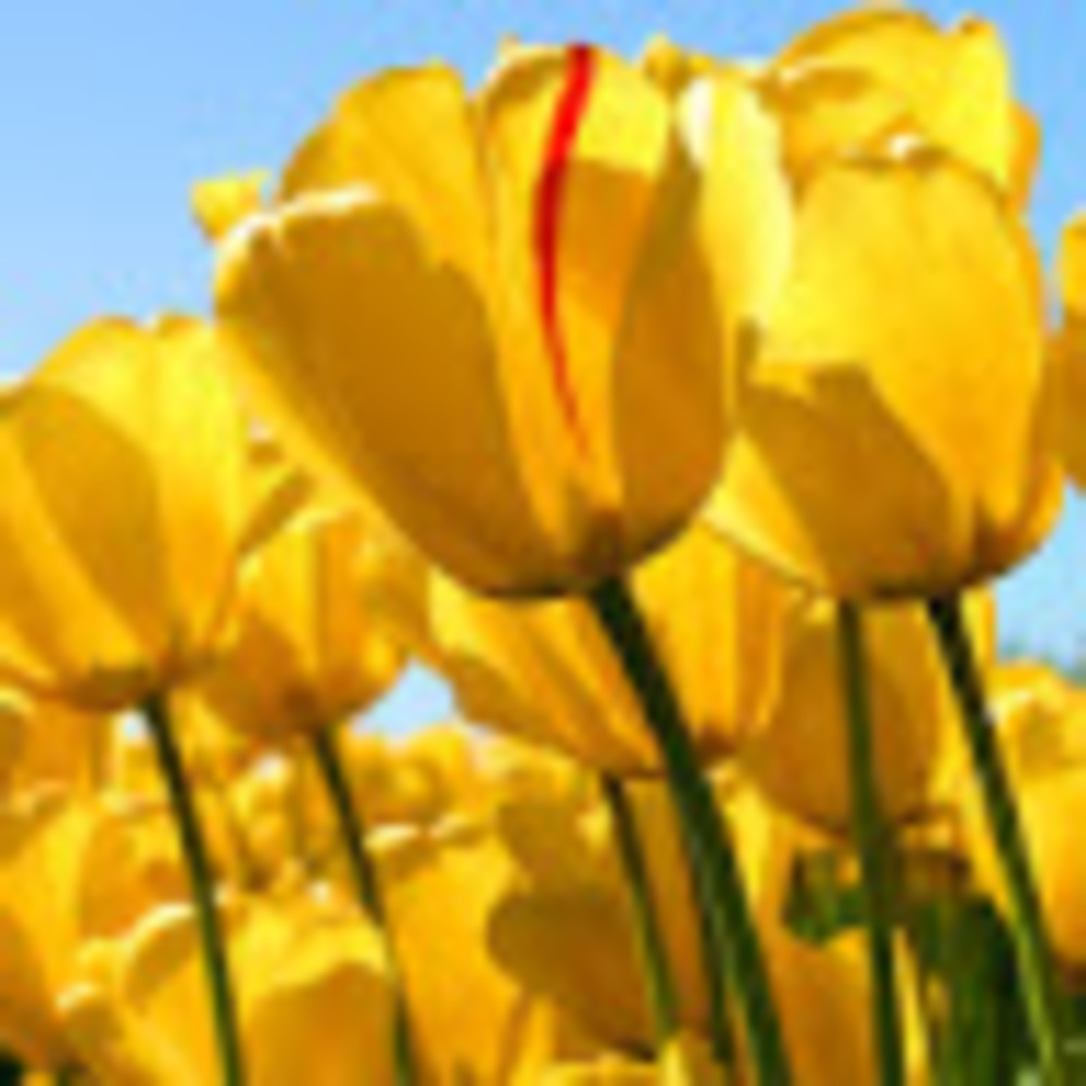 Meet your Posher, Kathleen